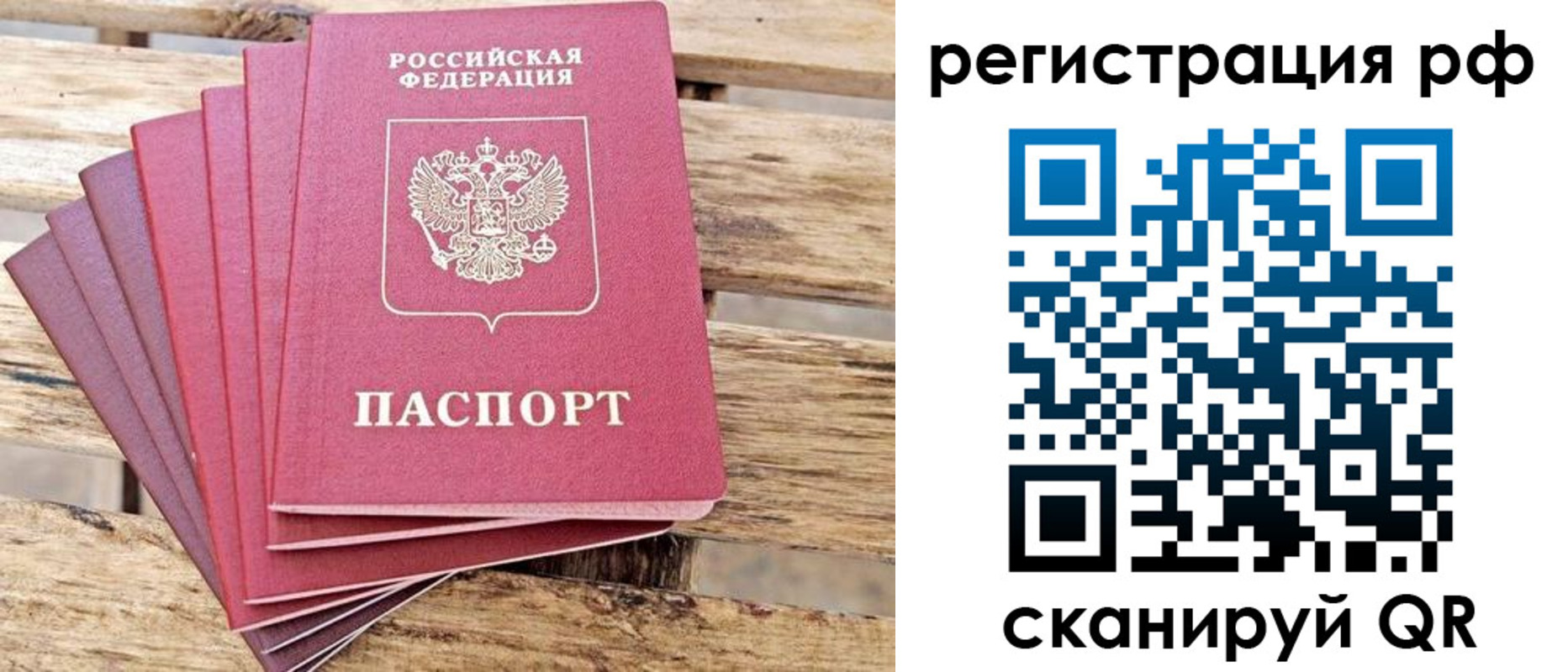 регистрация для школы в Курской области