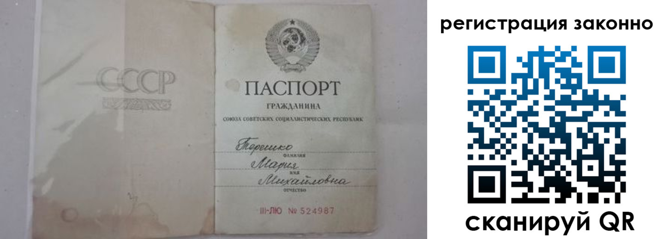 временная регистрация надежно в Курской области